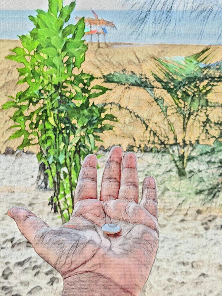 The Sea Shell Collector of Baia: a Trip to an Underwater&nbsp;City